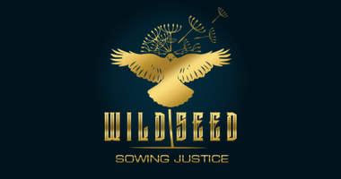 Wildseed Oil