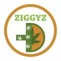 ZIGGYZ PLUS - EDMOND