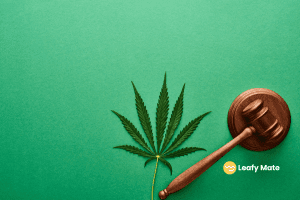 2025 cannabis policy reform legislation what advocates need to know