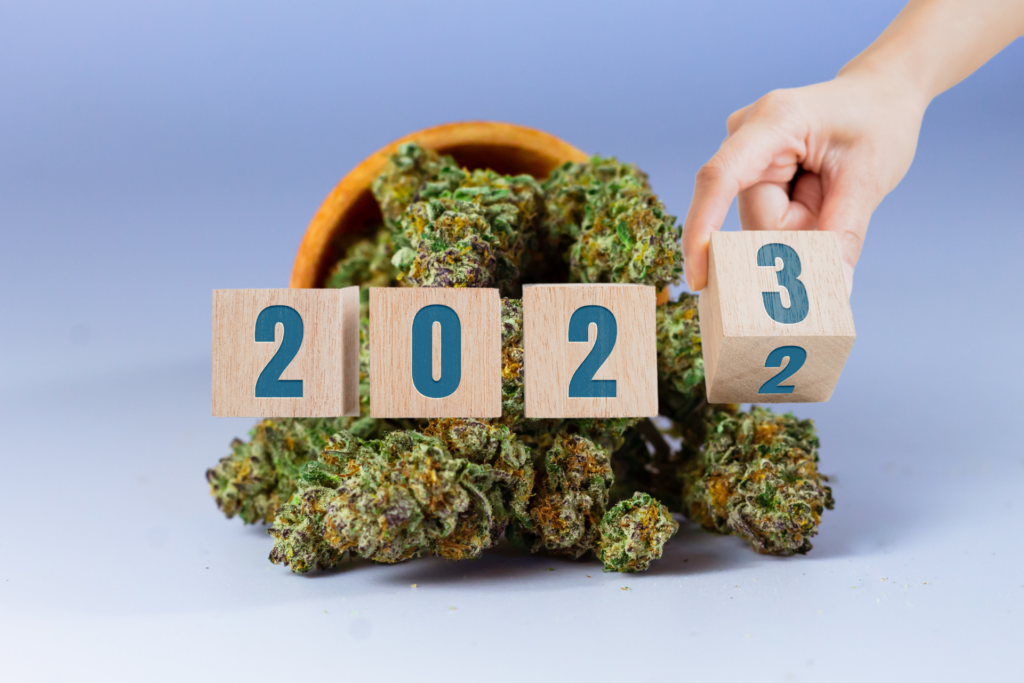 Which Cannabis Laws Go Into Effect In 2023? | Leafy Mate