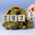 blocks of 2023 in front of cannabis flower