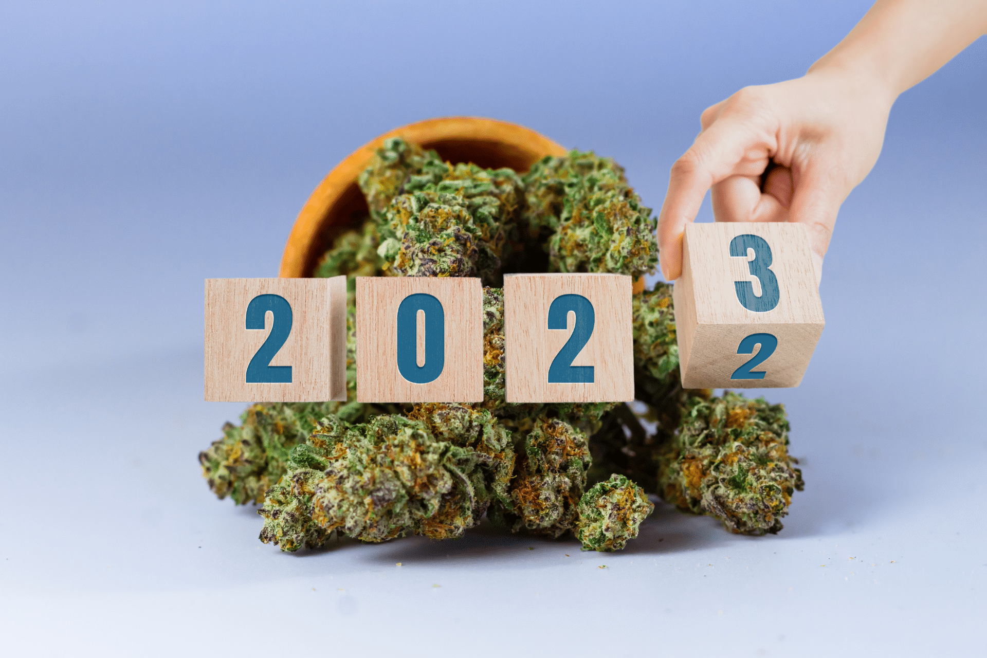 blocks of 2023 in front of cannabis flower
