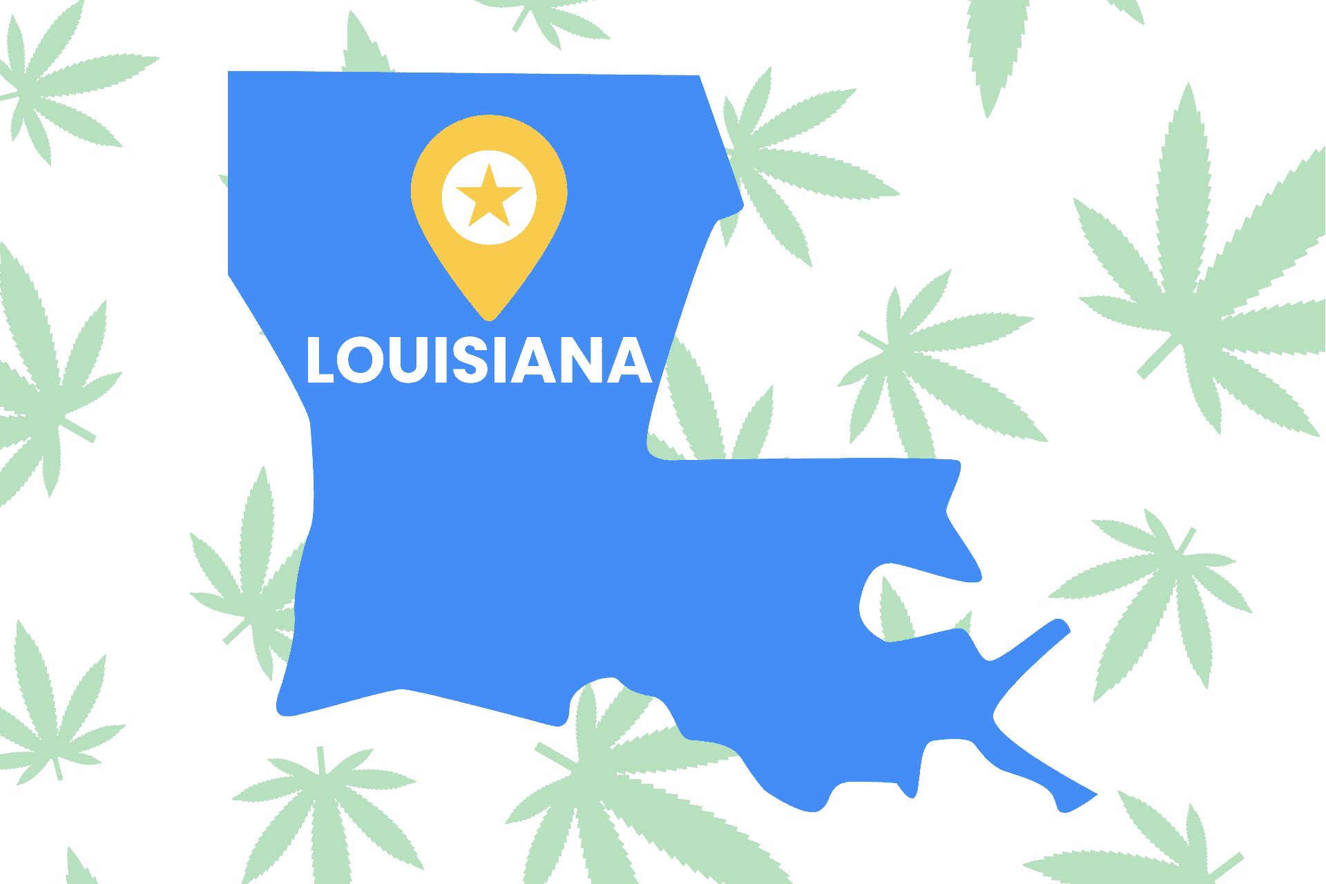 Is Weed Legal in Louisiana? Louisiana Marijuana Laws Leafy Mate
