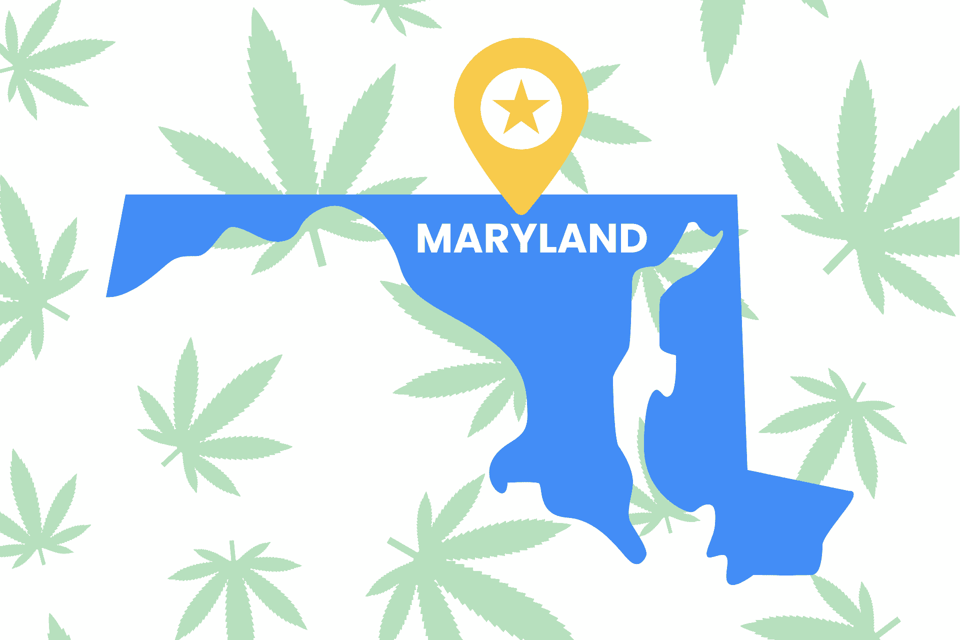 Is Weed Legal in Maryland? - Maryland Marijuana Laws | Leafy Mate