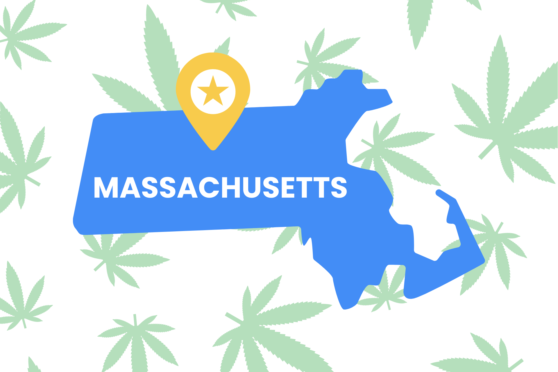 Is Weed Legal in Massachusetts? Massachusetts Marijuana Laws Leafy Mate