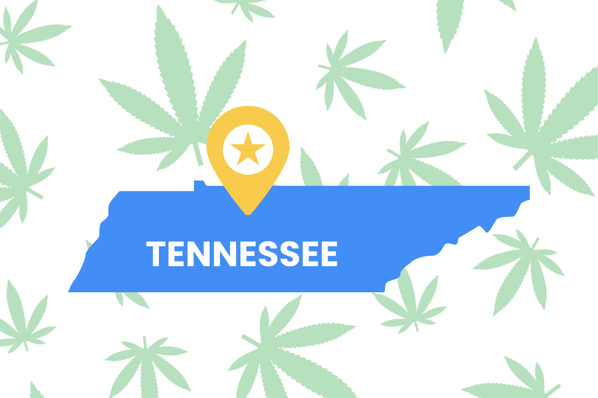 Is Weed Legal in Tennessee? Tennessee Marijuana Laws Leafy Mate