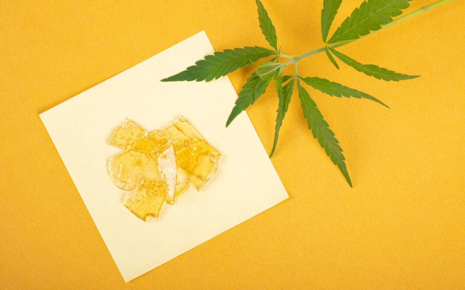 What Is Marijuana Wax Cannabis 101 Leafy Mate