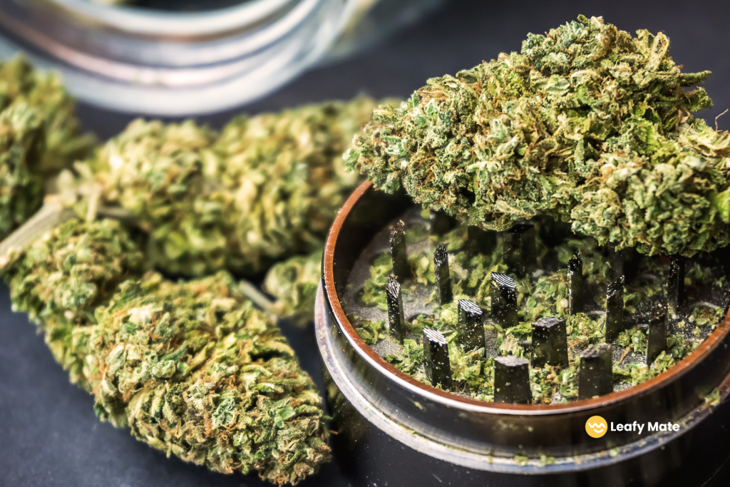 Uncover the Best Weed Grinder: Your Ultimate Guide! | Leafy Mate