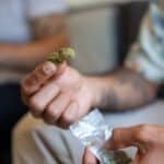 Cannabis Microdosing - Leafy Mate