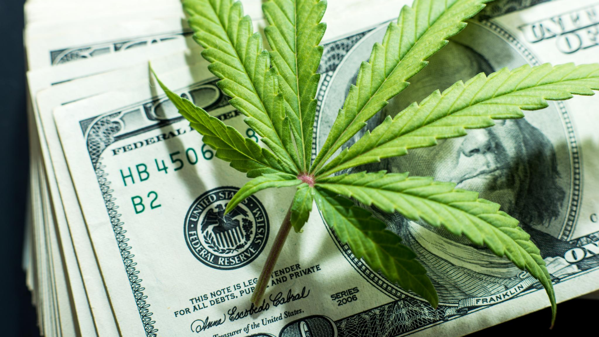 Cannabis Money