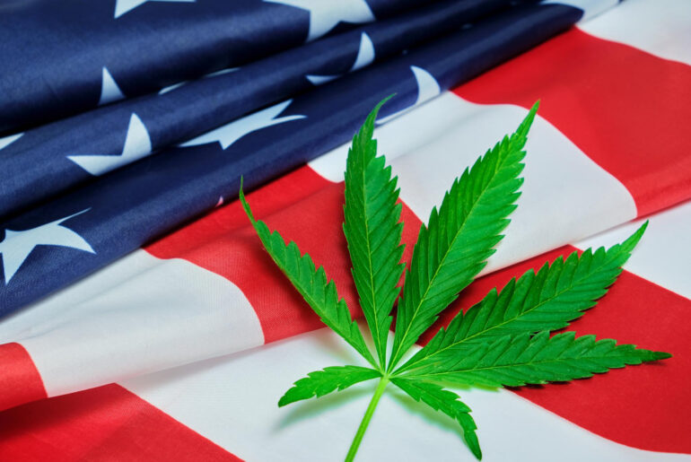 Cannabis Administration and Opportunity Act - Marijuana Leafy on American Flag