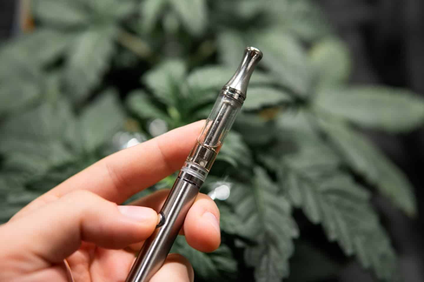 What Is a Dab Pen? Learn The Basics of Dabbing Leafy Mate