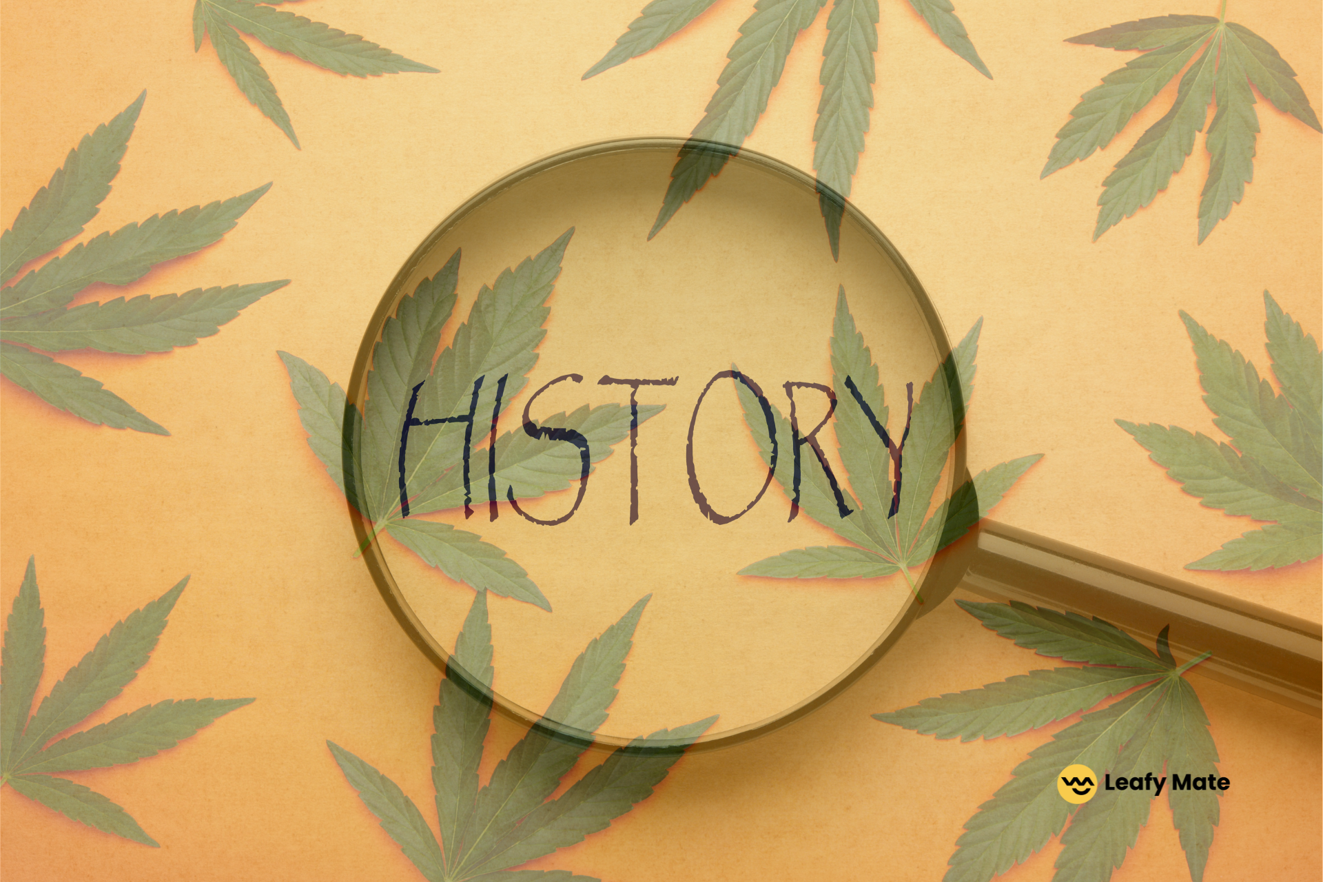 History of cannabis