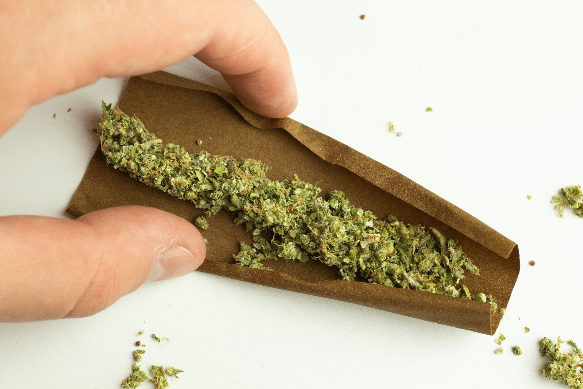 close up on how to roll a blunt