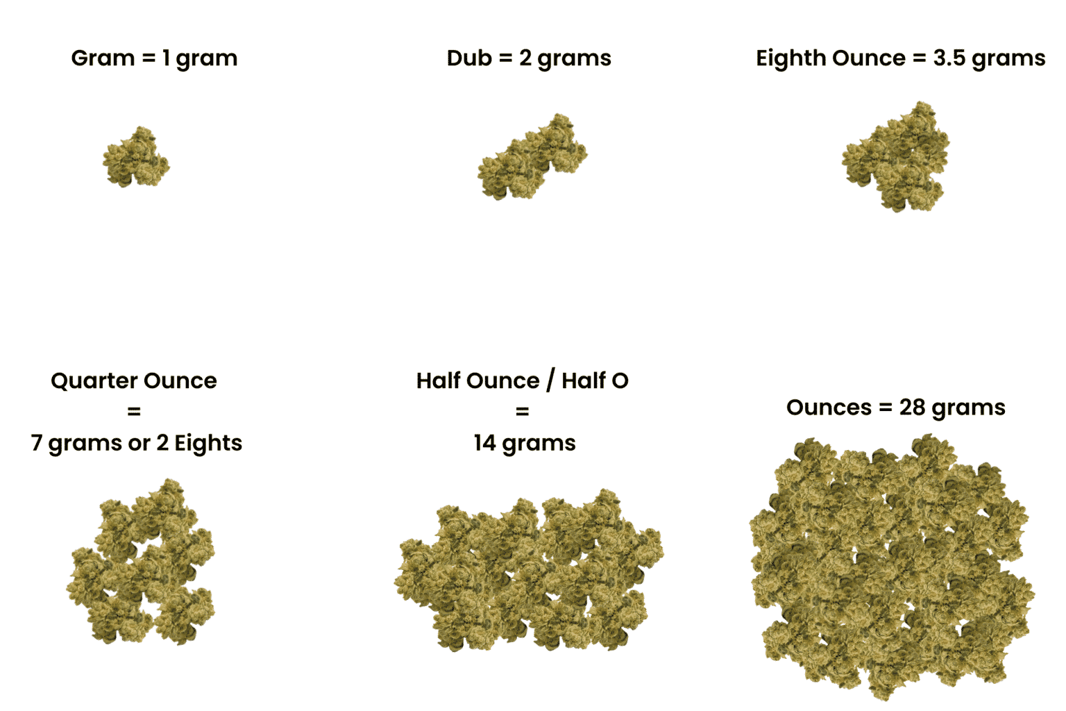 What does a gram of weed look like - Cannabis Visual Guide | Leafy Mate