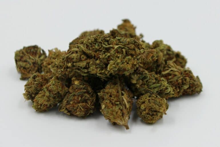 Kush Marijuana Strain - Leafy Mate